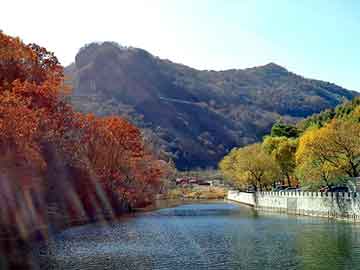 新澳门二四六天天彩，鸽子养殖前景